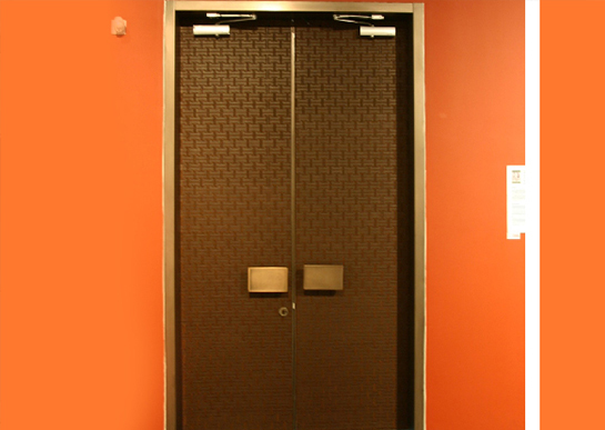Leather door